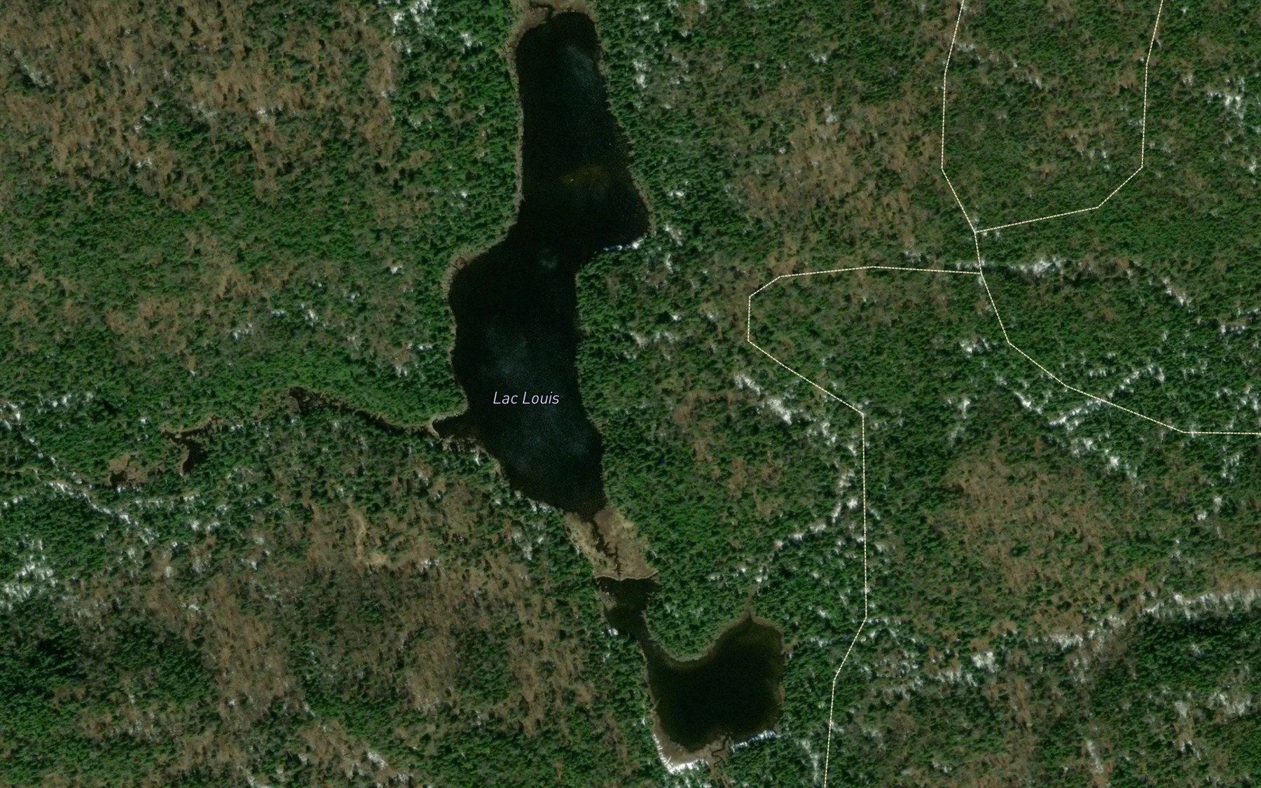 Satellite map of the Lac Louis
