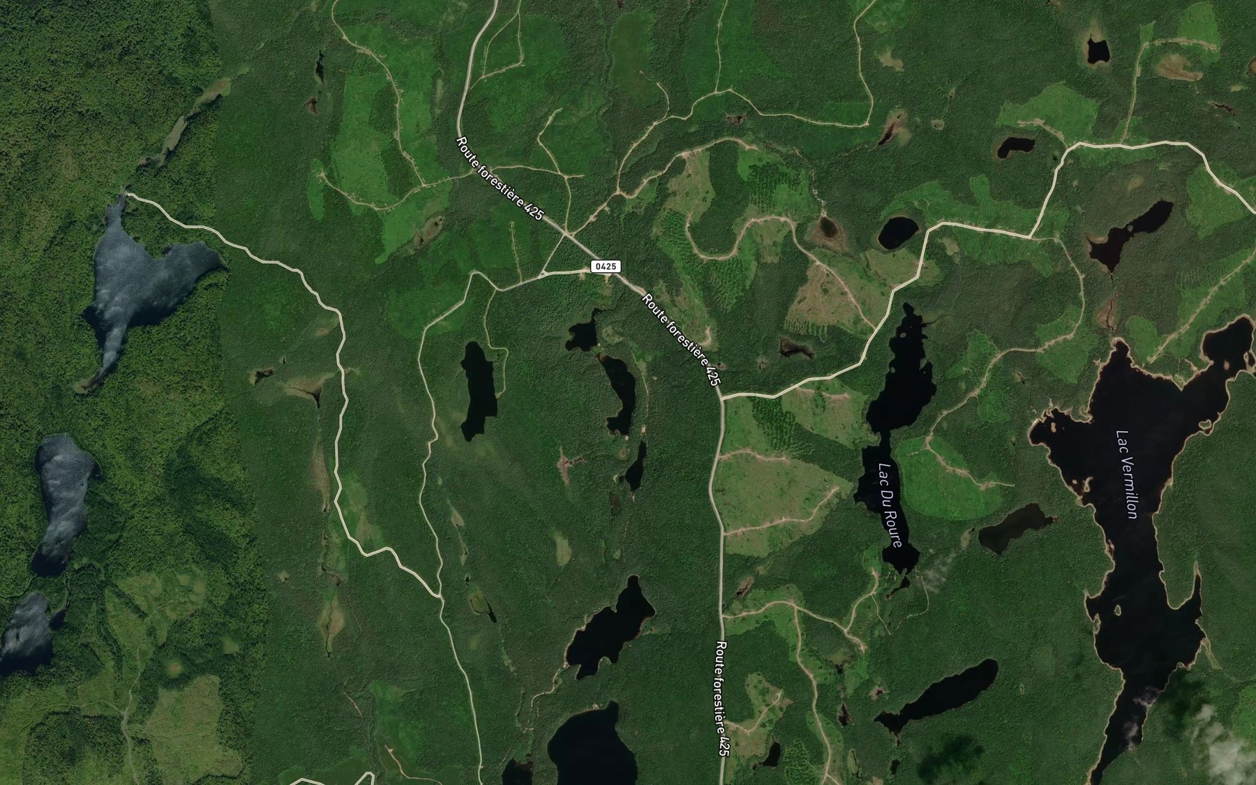 Satellite map of the Lac Bernard