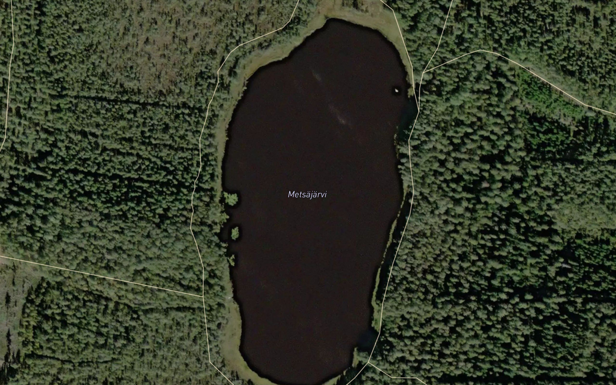 Metsajarvi