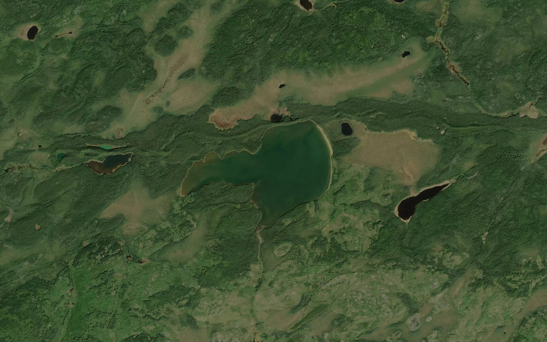 Satellite map of the Greenlee Lake