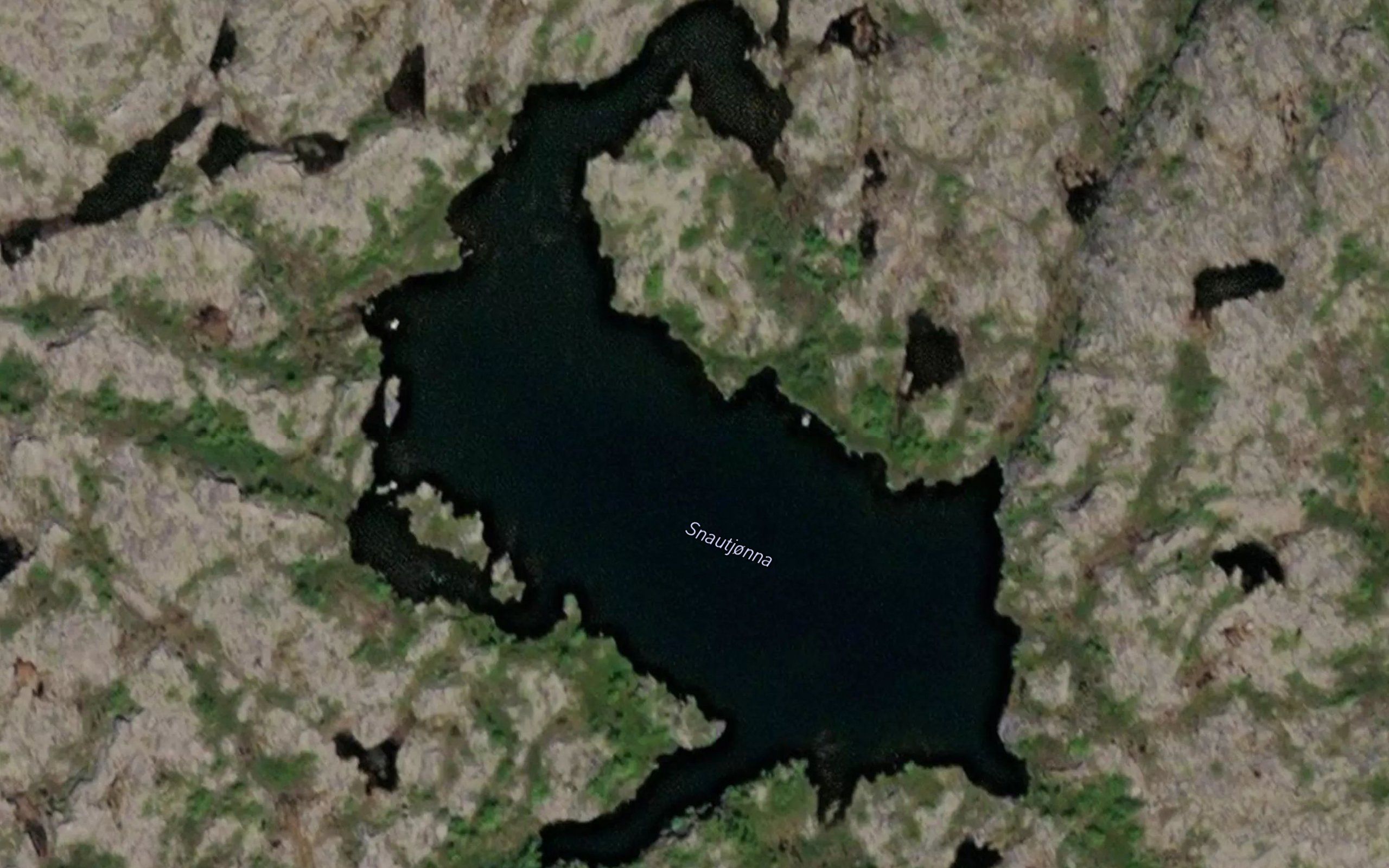 Snautjorna