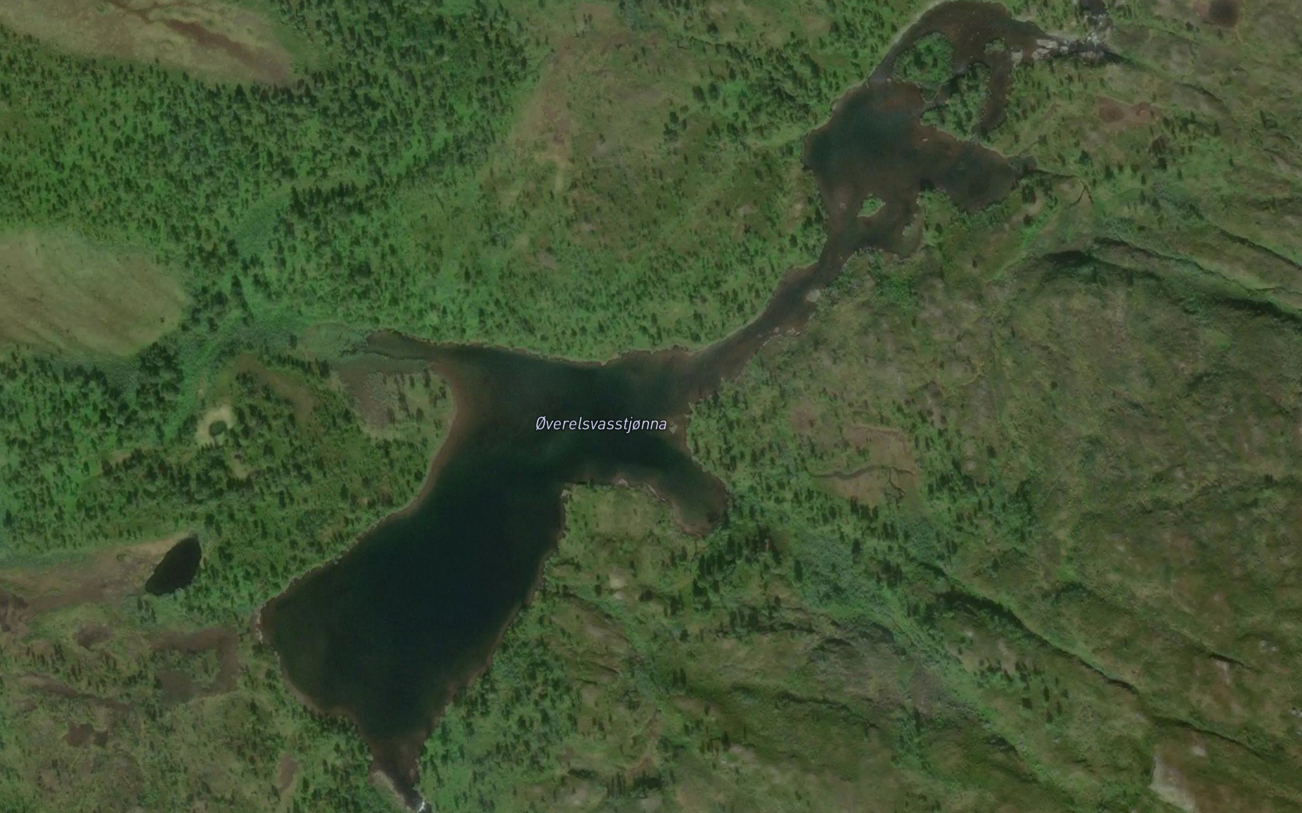 Overelsvasstjorna