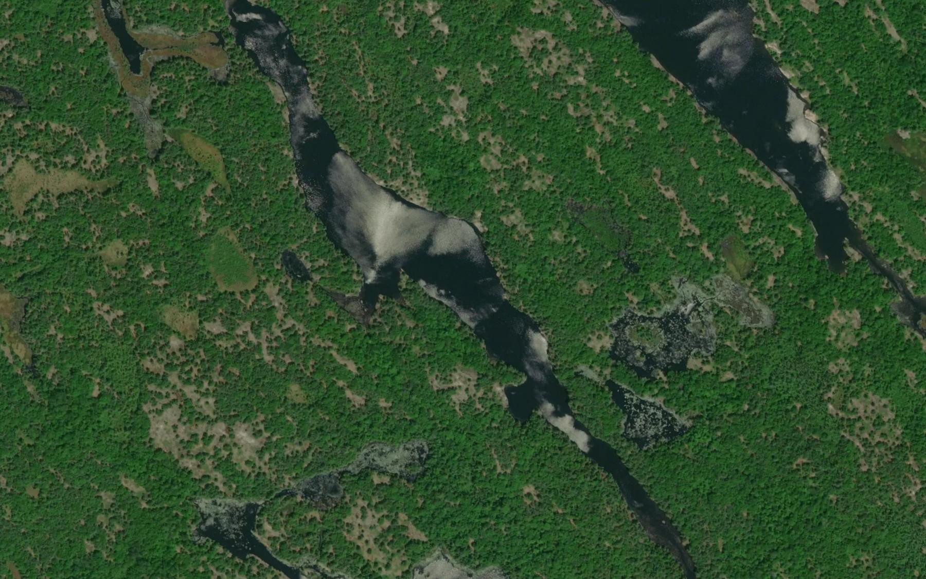 Satellite map of the Kenney Lake