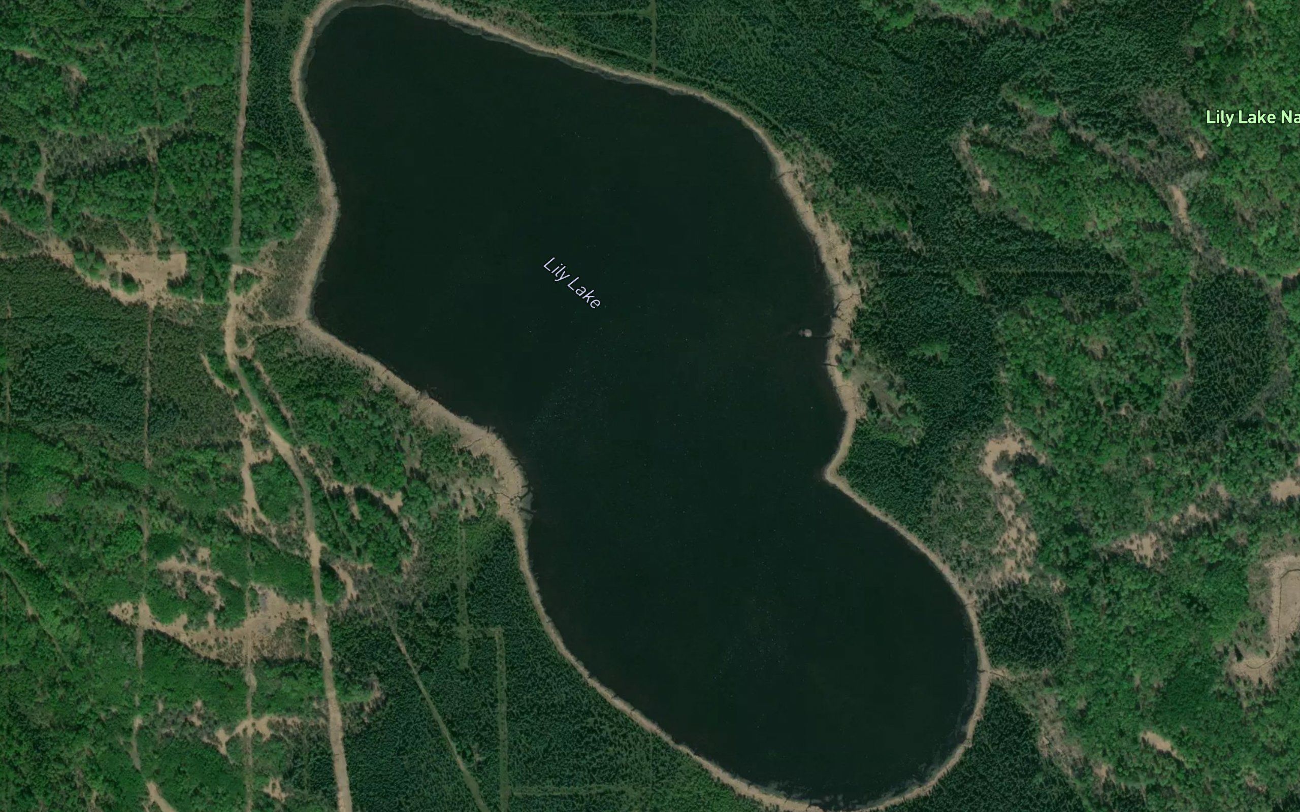 Lily Lake