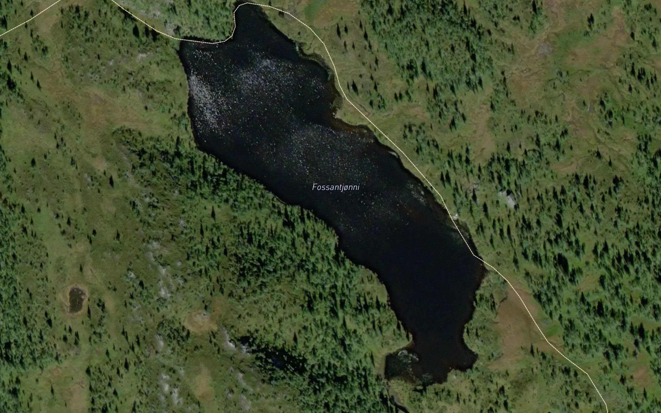 Fossantjorni