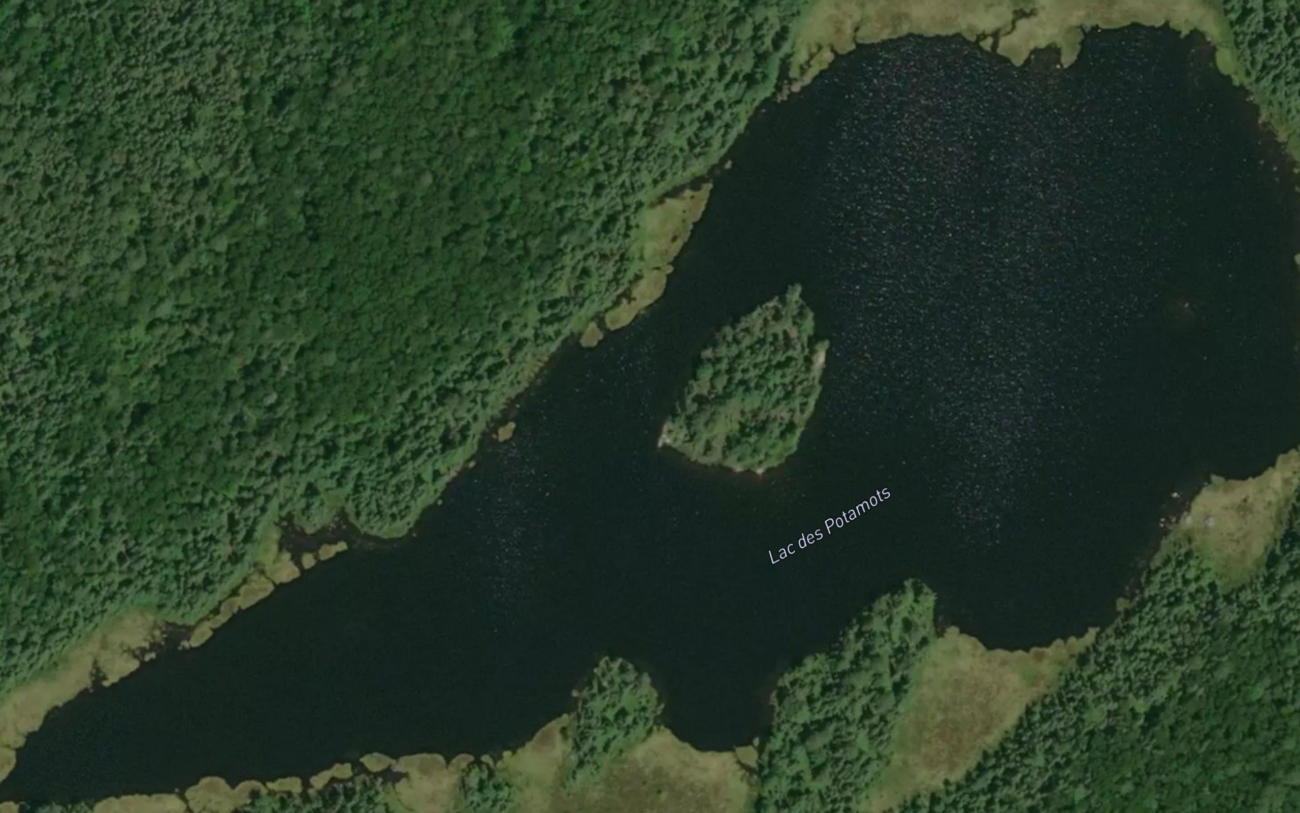 Lac des Potamots