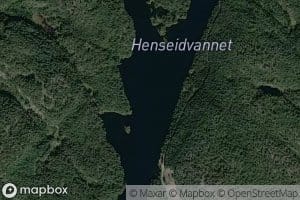Henseidvannet