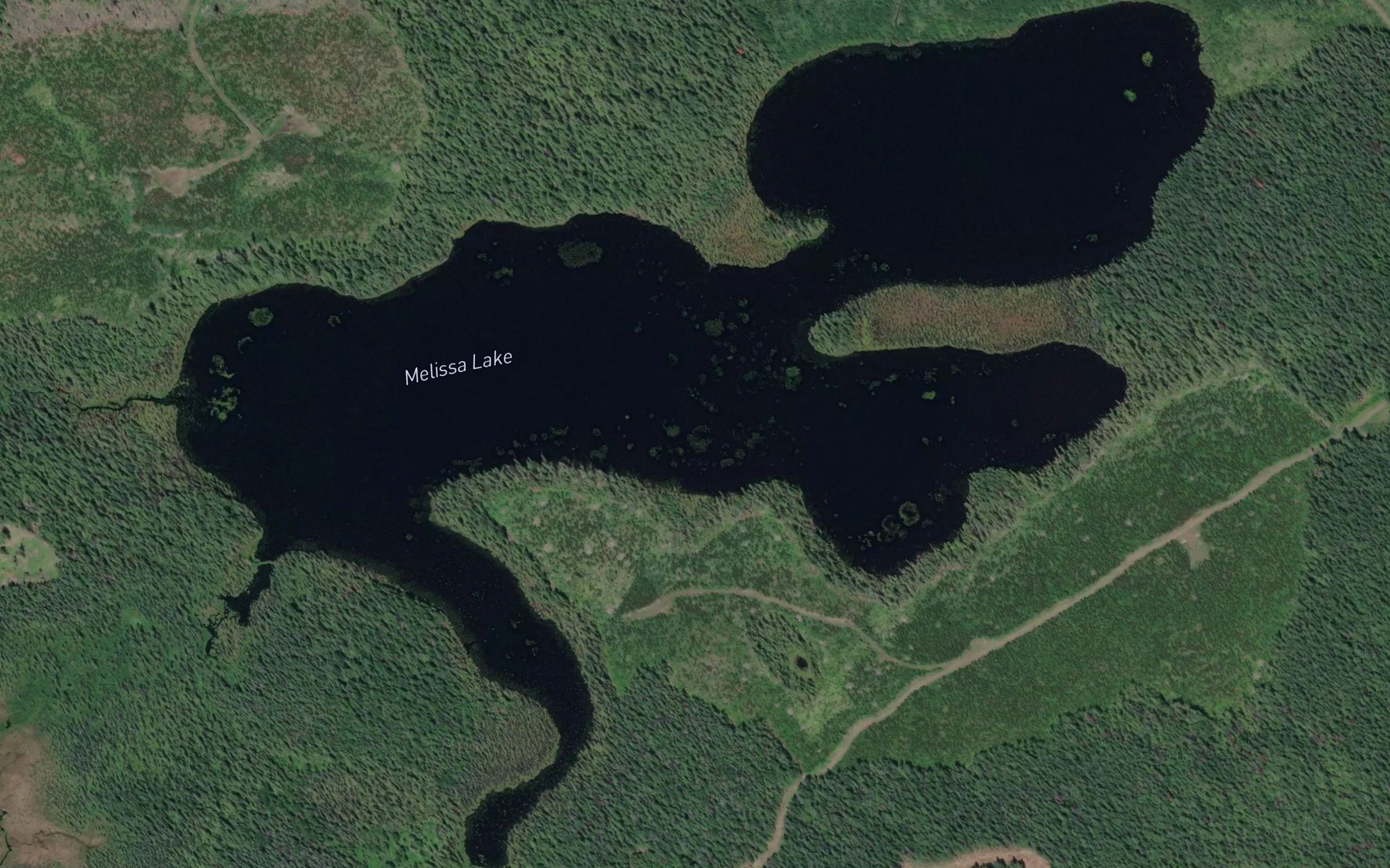 Satellite map of the Melissa Lake