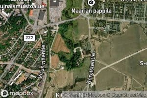 Topinoja