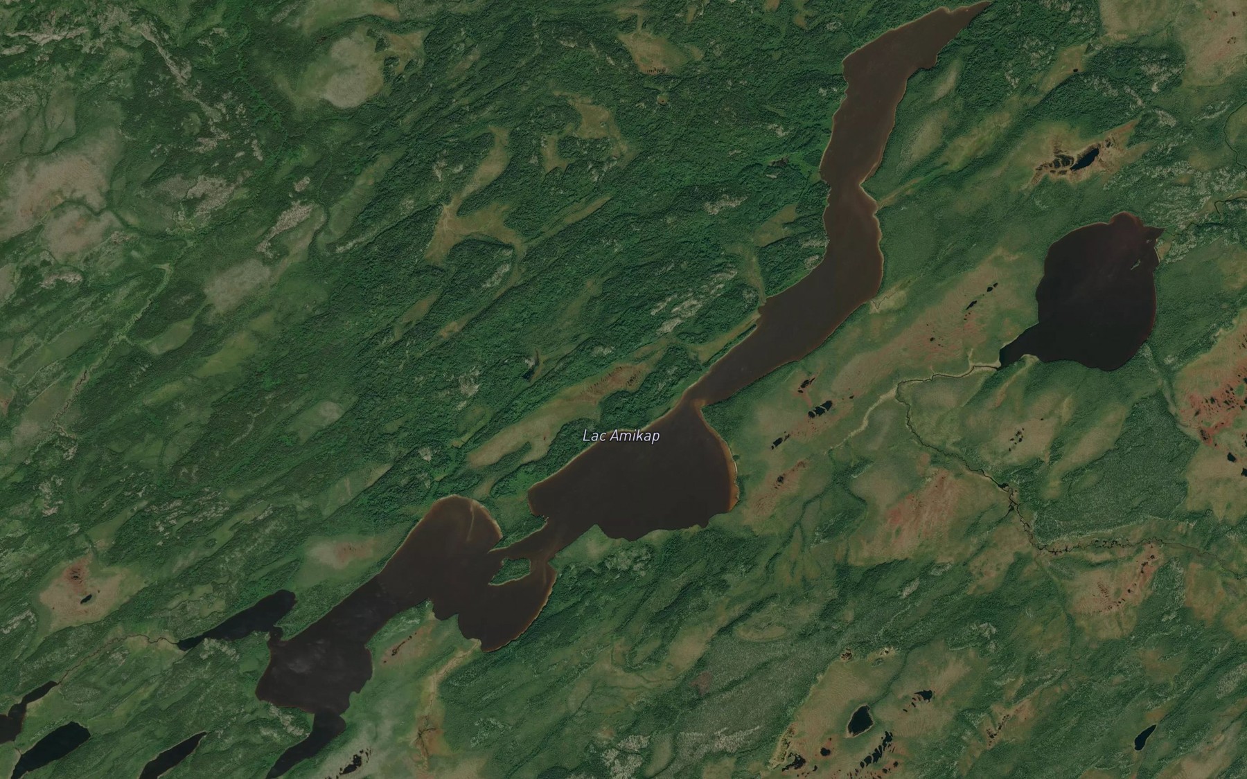 Satellite map of the Lac Amikap
