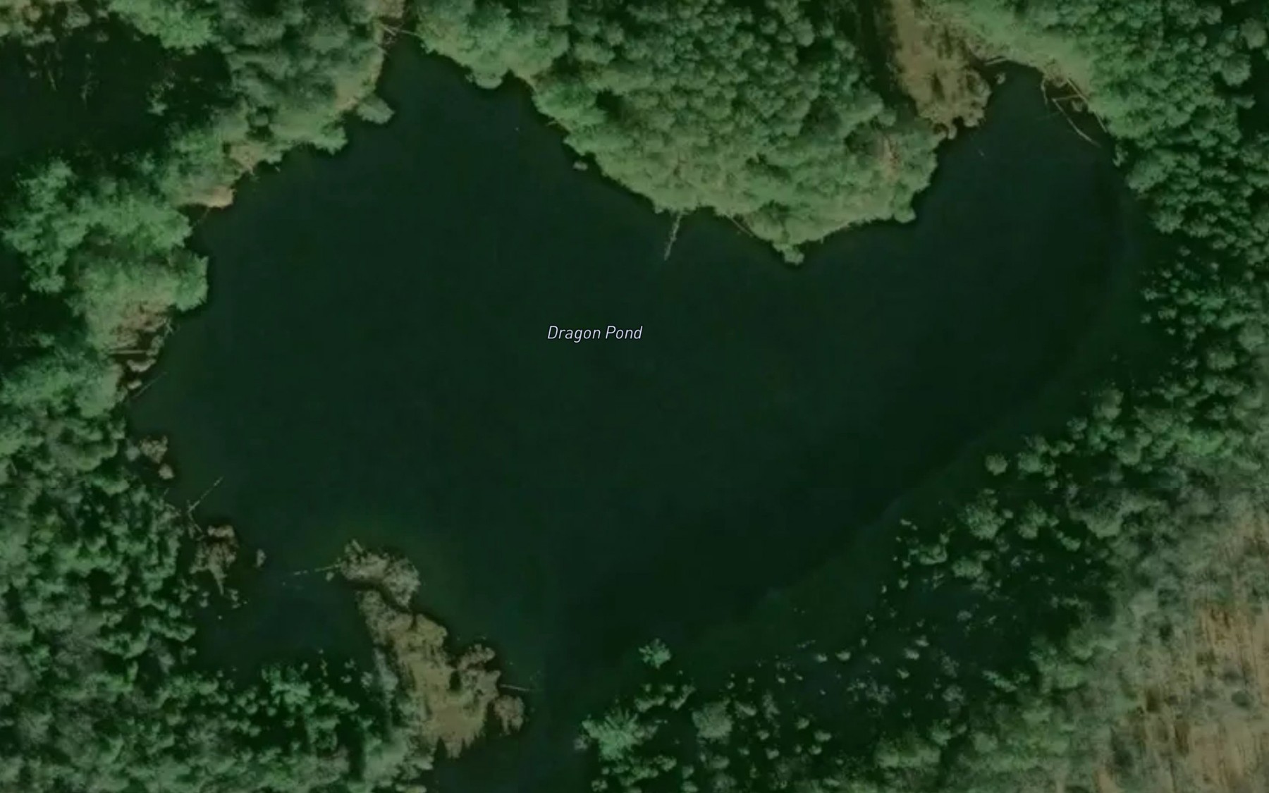 Satellite map of the Dragon Pond