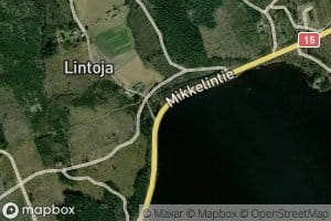 Lintoja