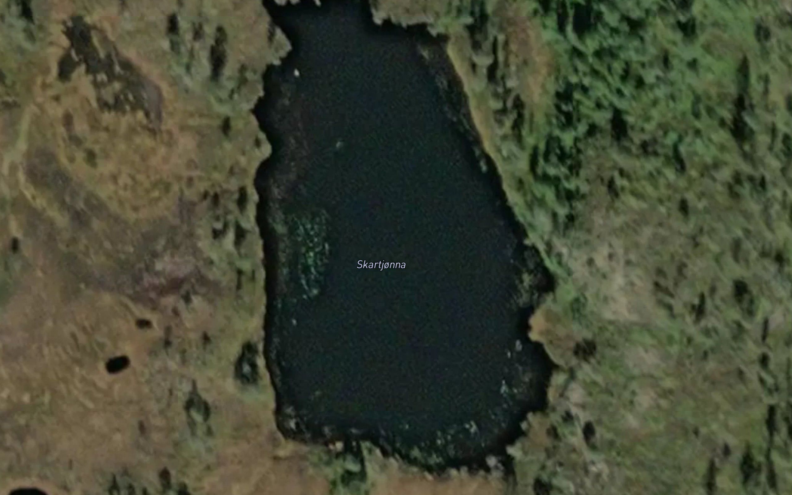 Skartjonna