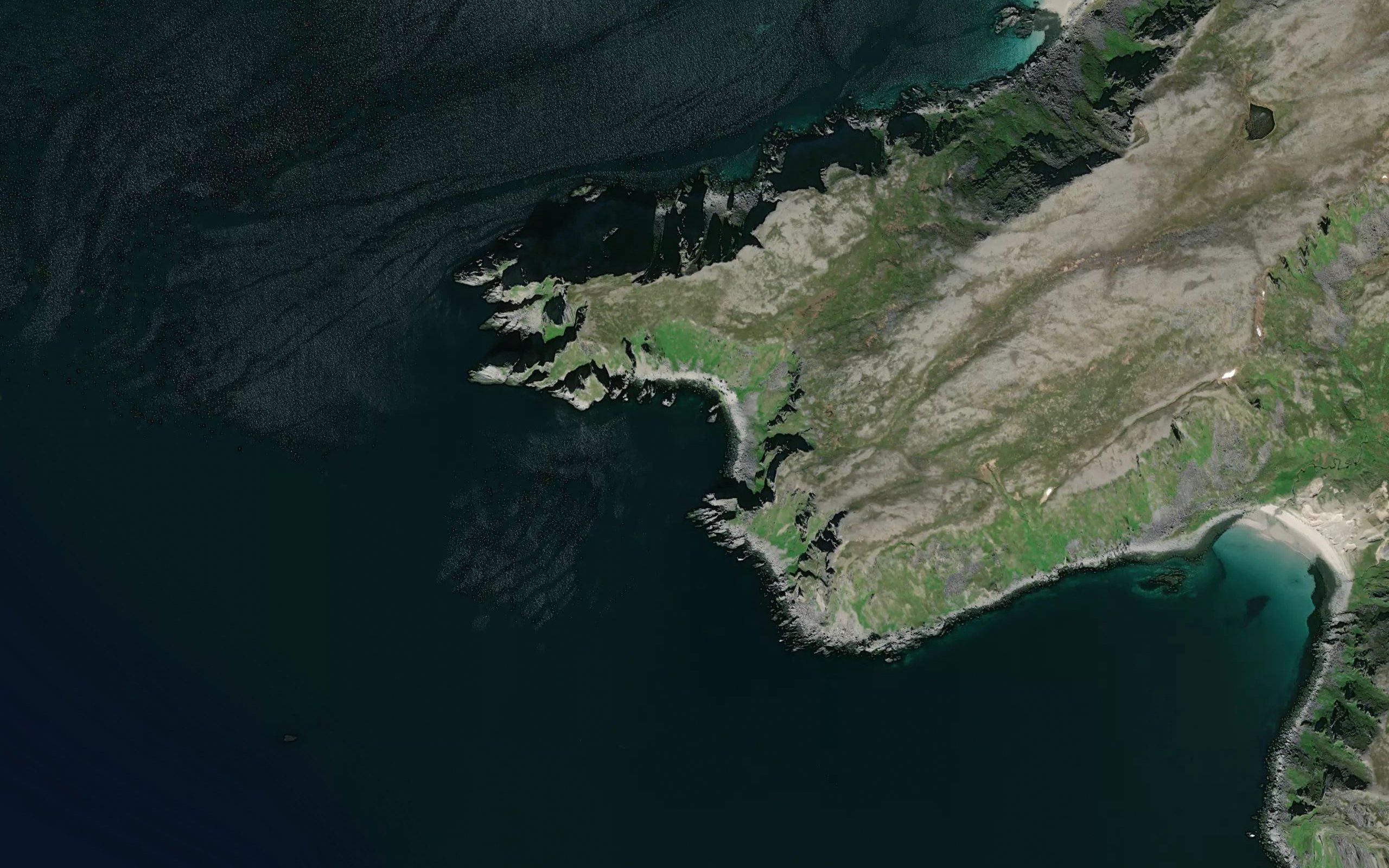 Knarrkjerringvika