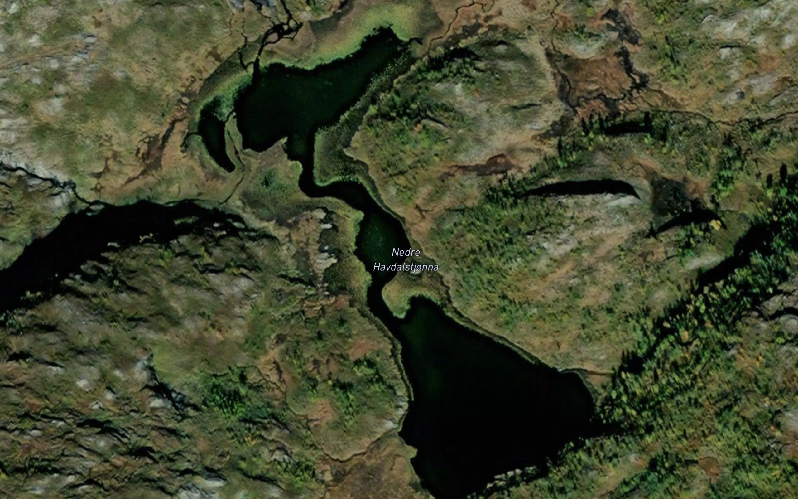 Havdalstjonnin,nedre