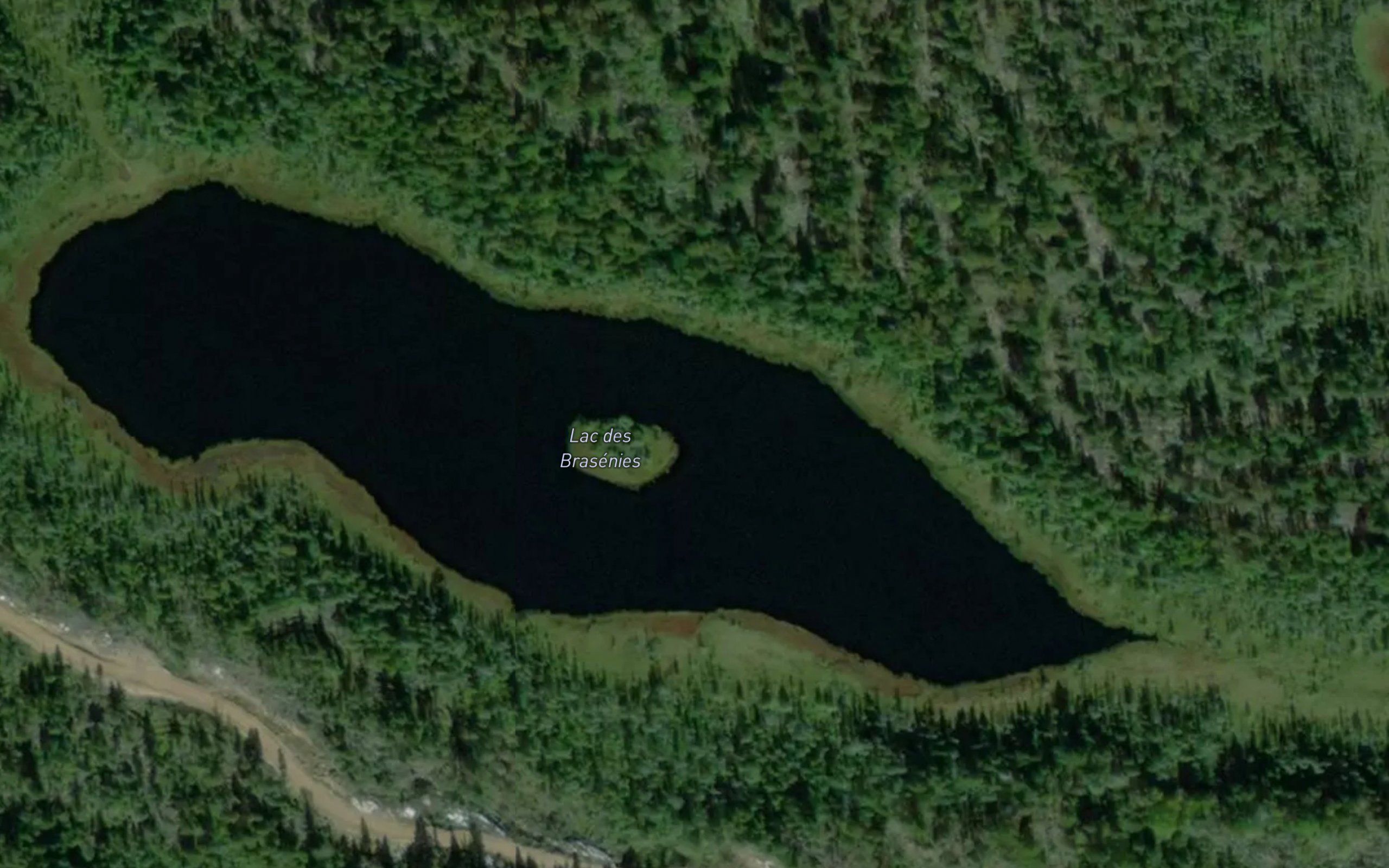 Lac des Brasenies
