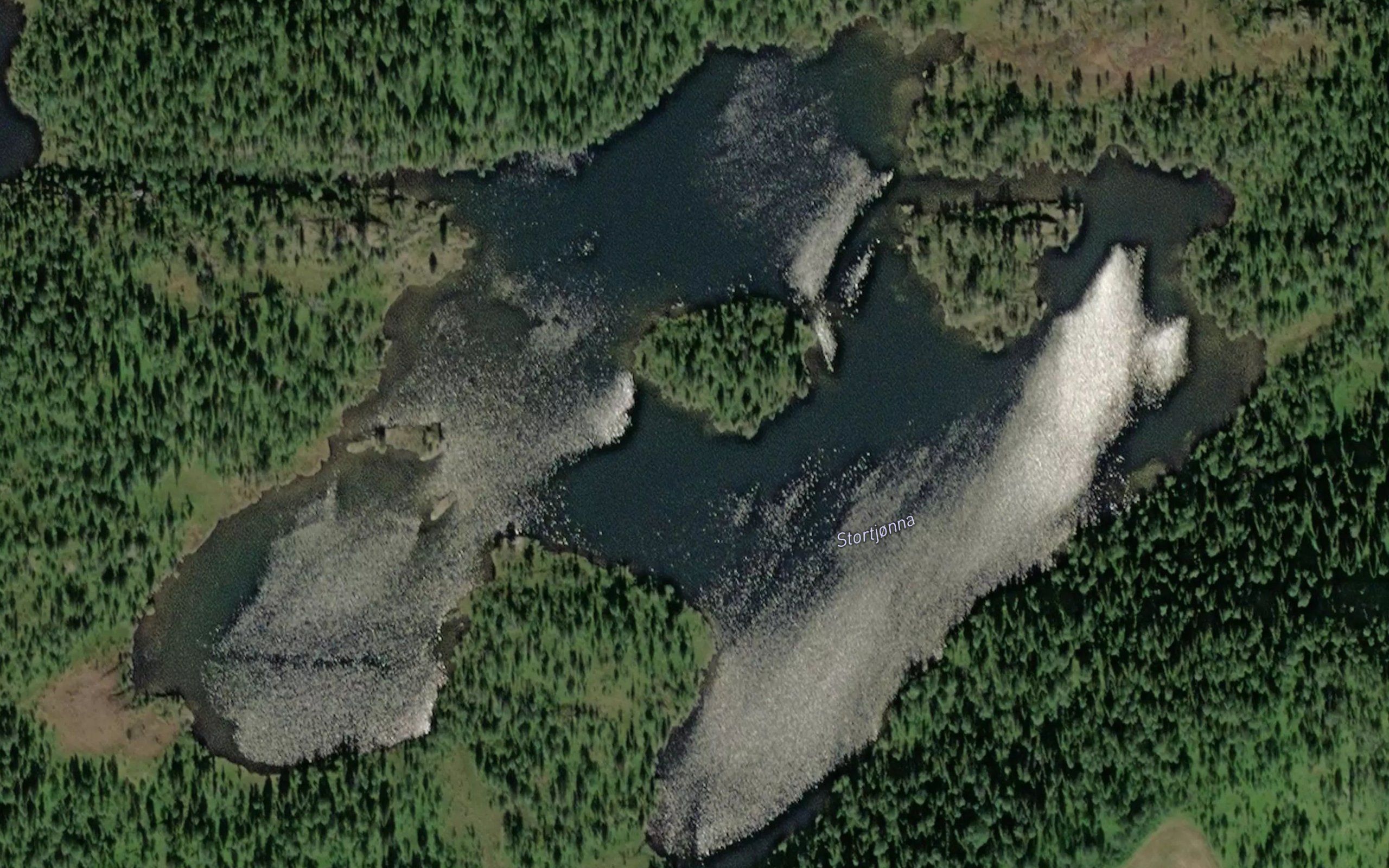 Stortjorna