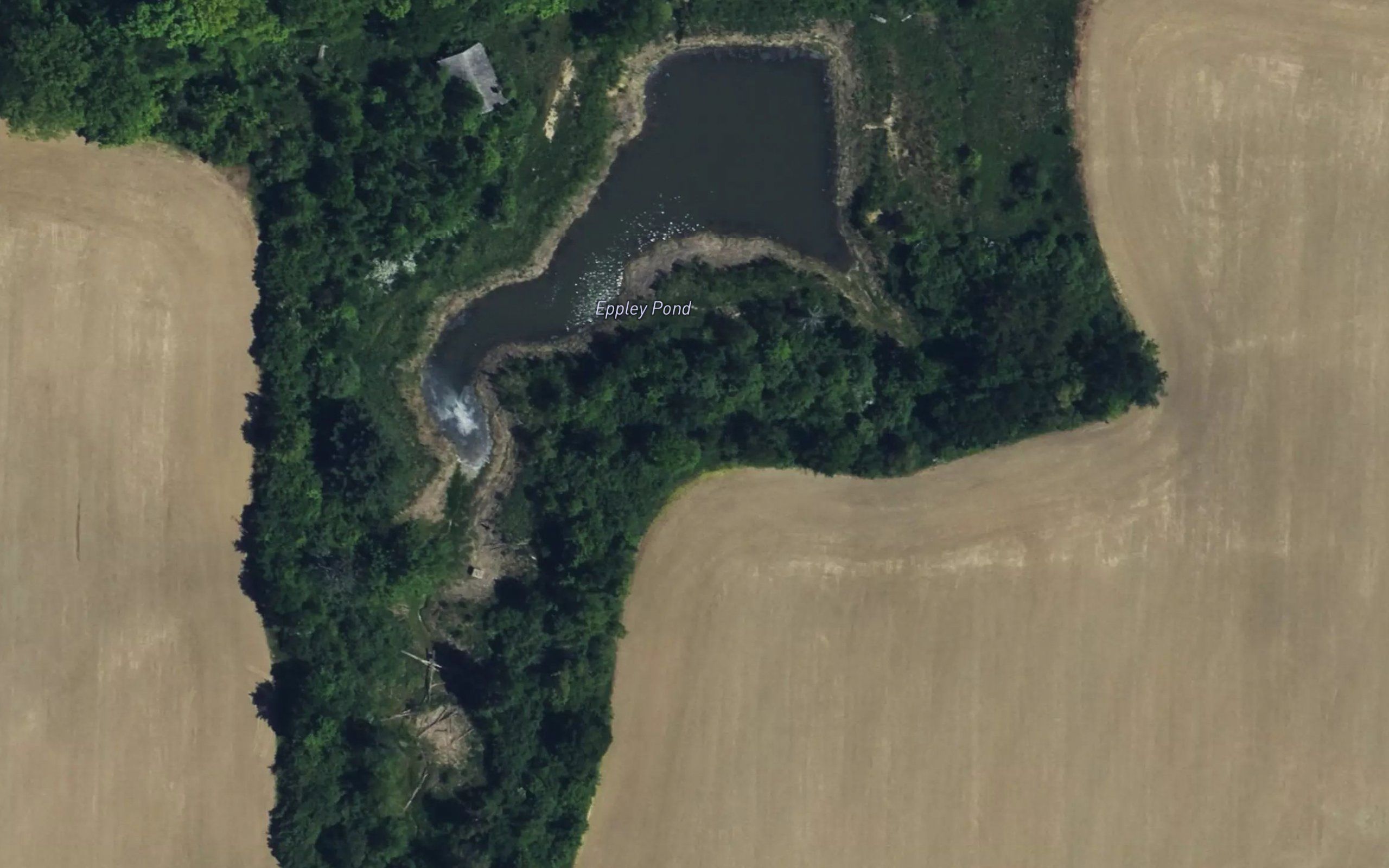 Eppley Pond