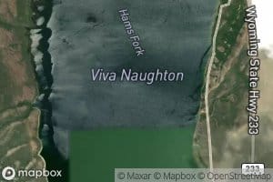 Lake Viva Naughton