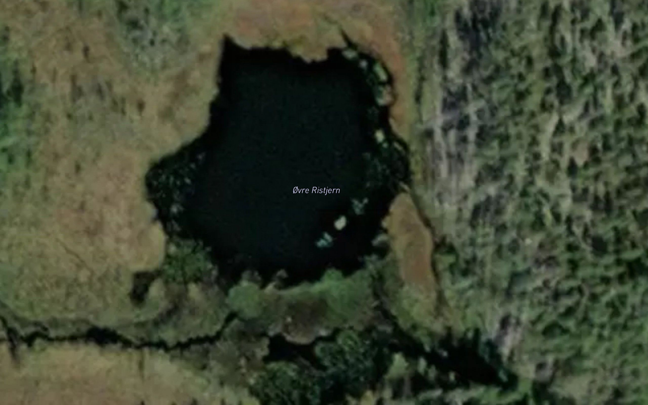 Ovre Ristjern