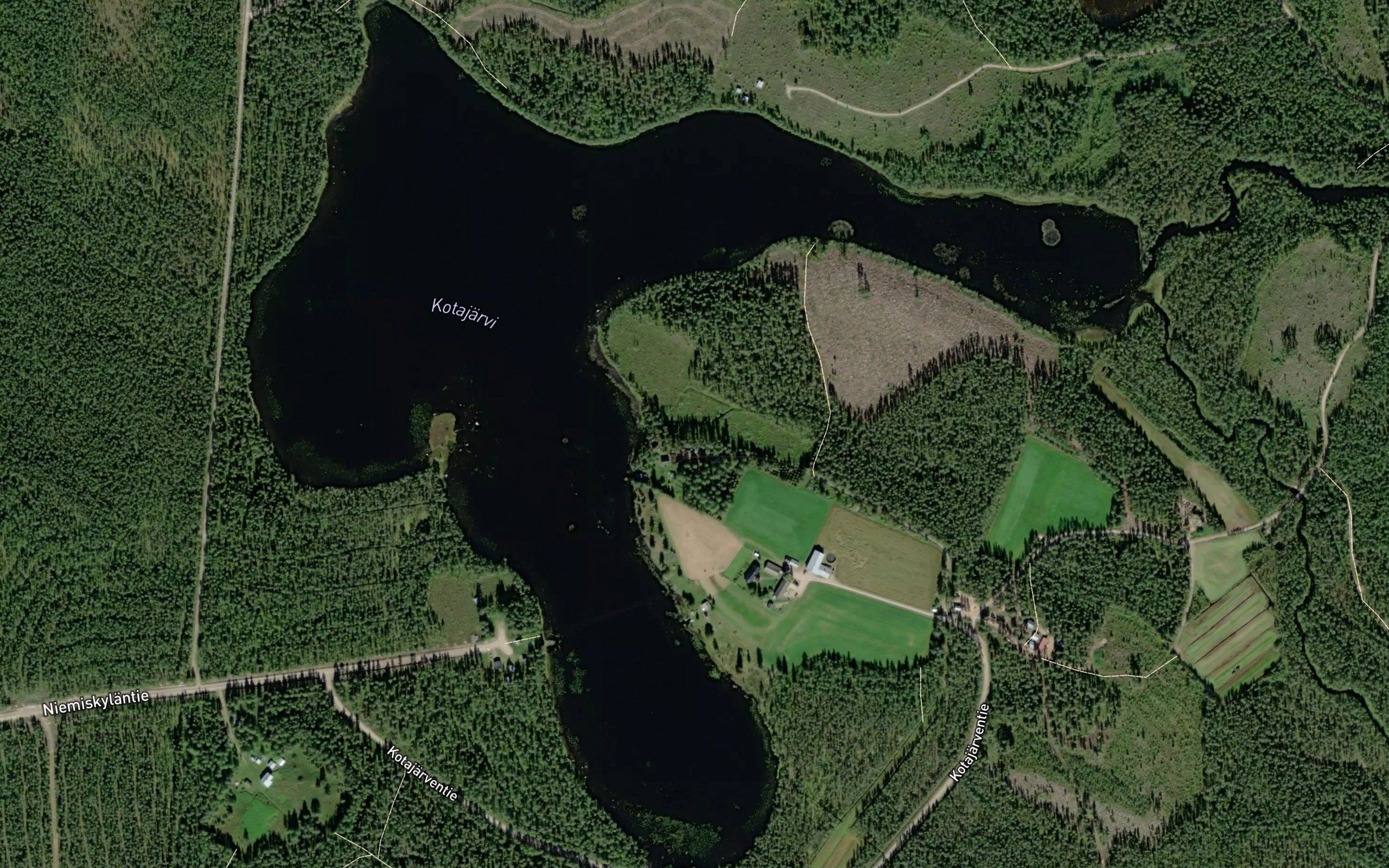 Kotajarvi