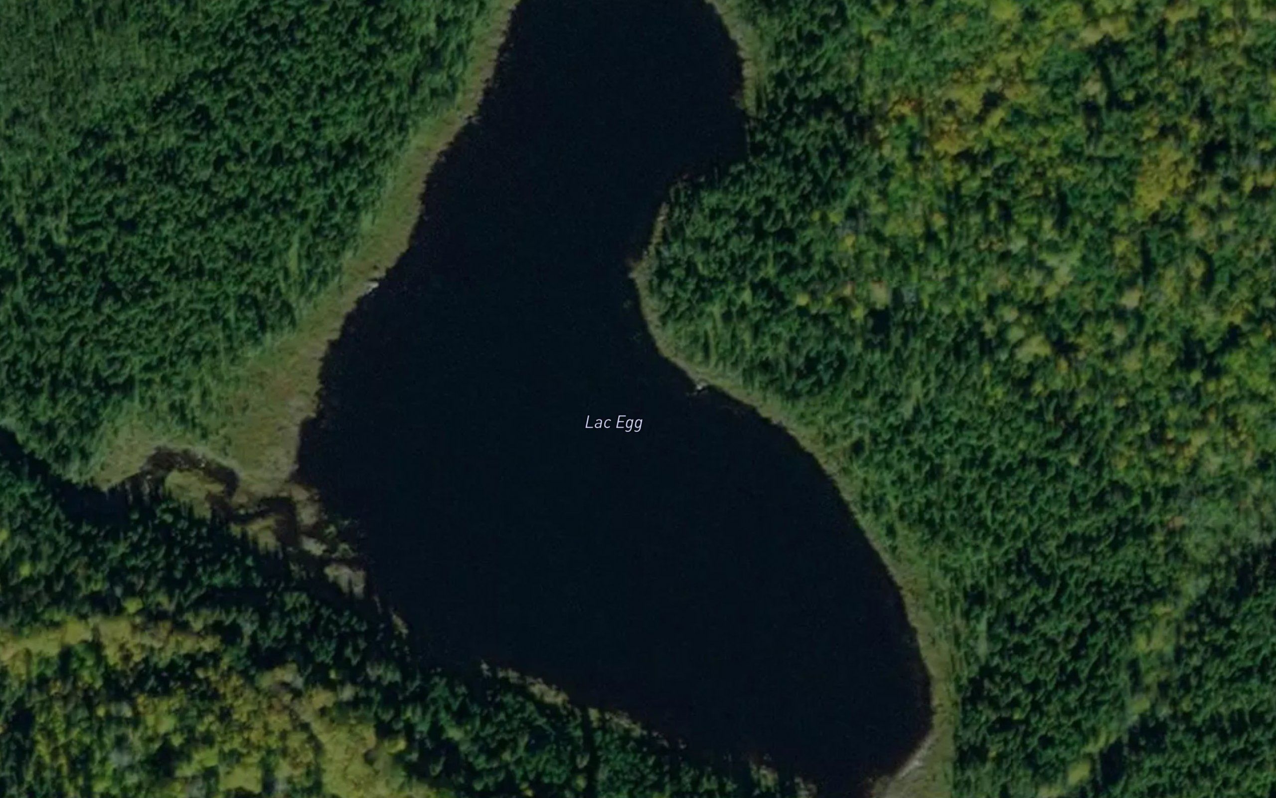 Lac Egg