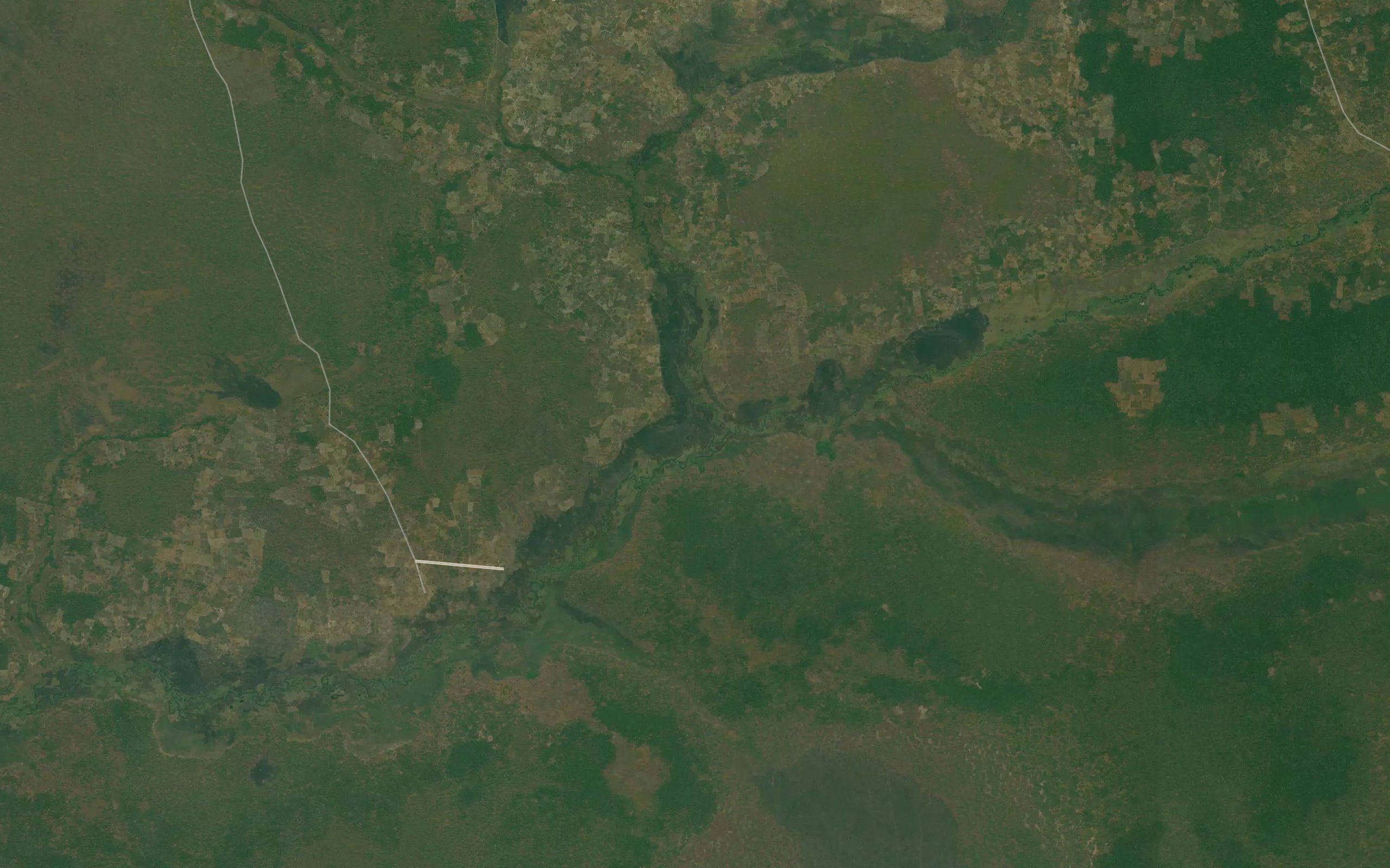 Caungua