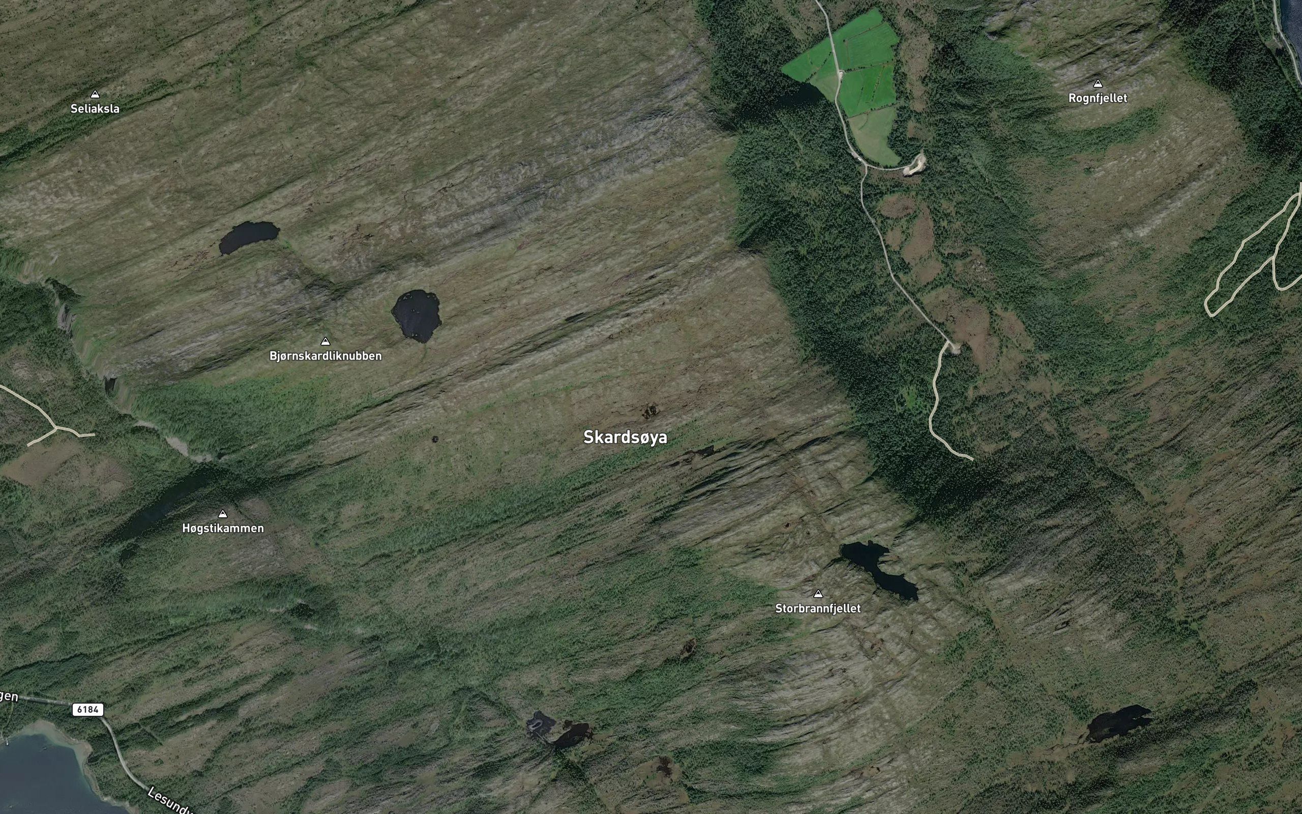 Langlitjonna