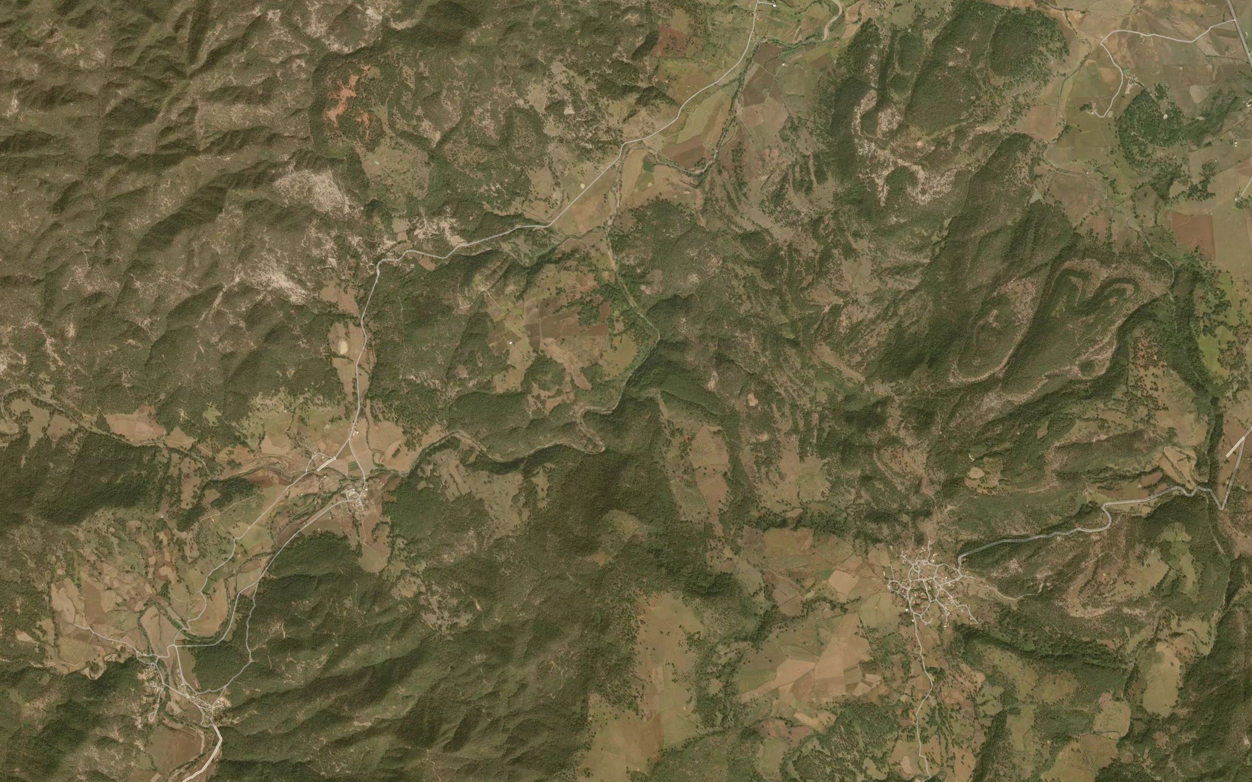 La Sanguijuela