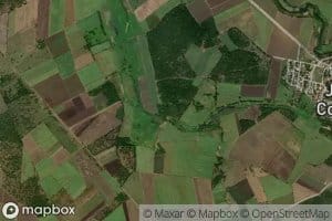 Arroyo Zanja Apestosa