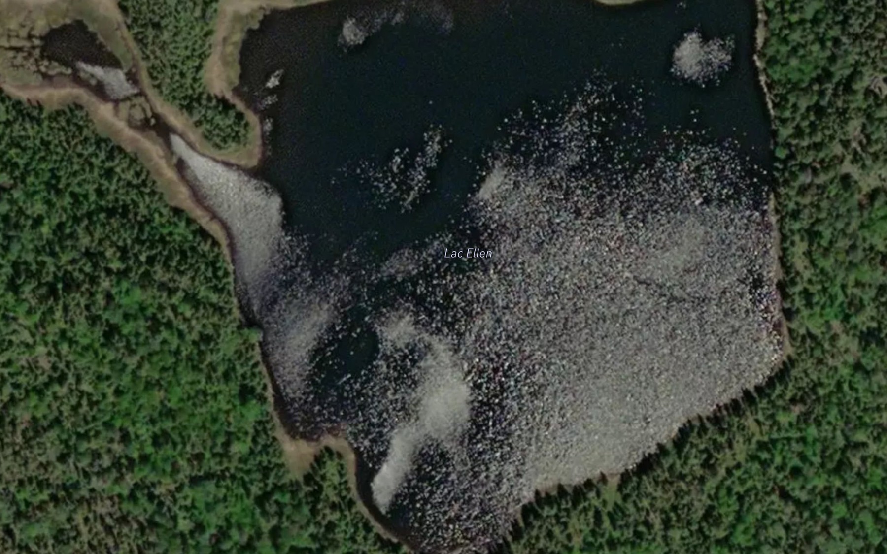Satellite map of the Lac Ellen