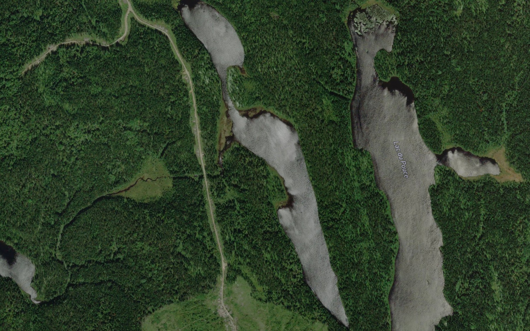 Satellite map of the Petit lac des Roches