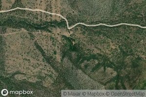 Wild Goose Spring