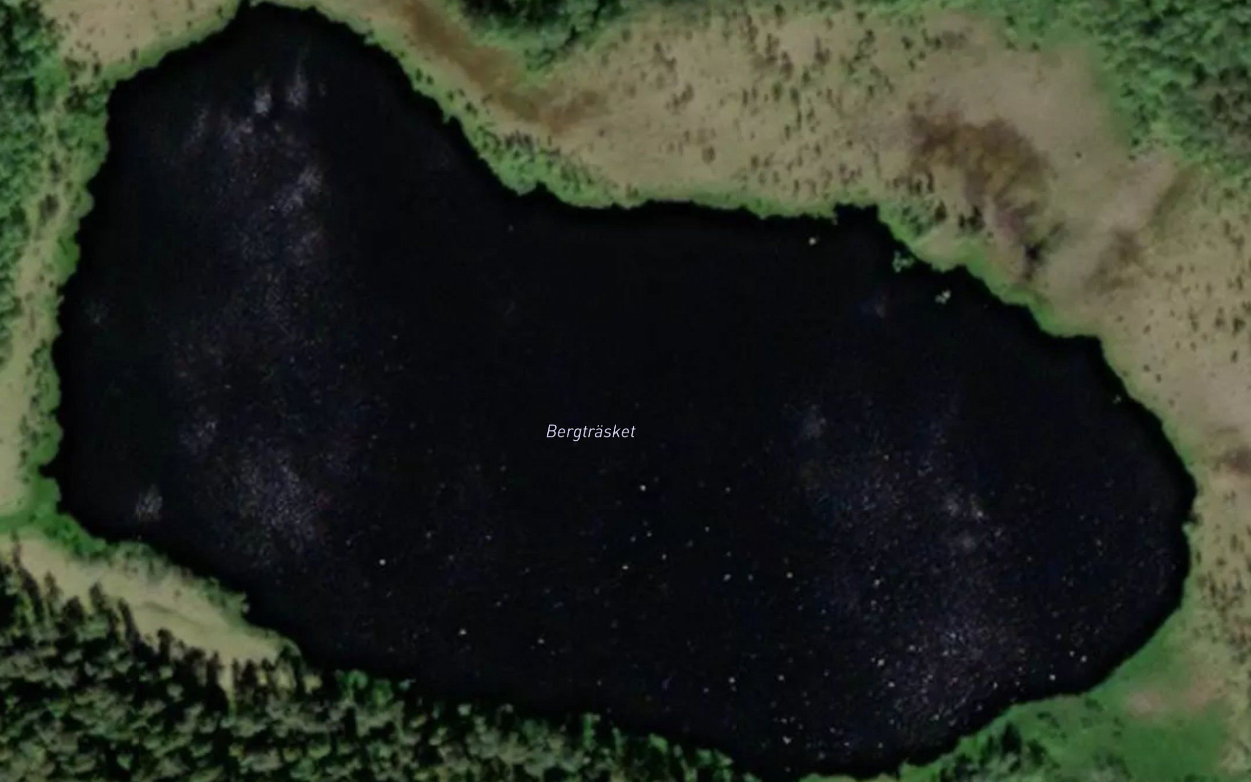 Bergtrasket
