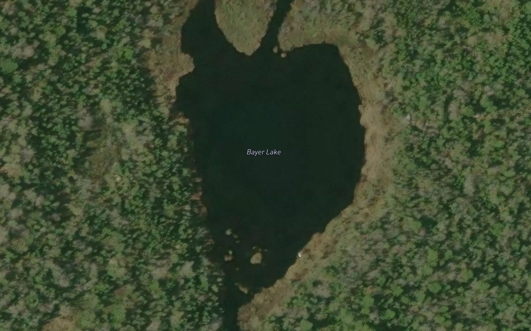 Satellite map of the Bayer Lake