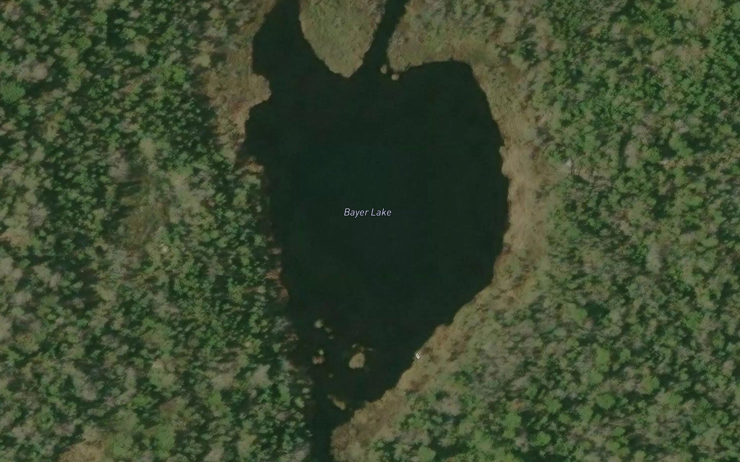 Bayer Lake