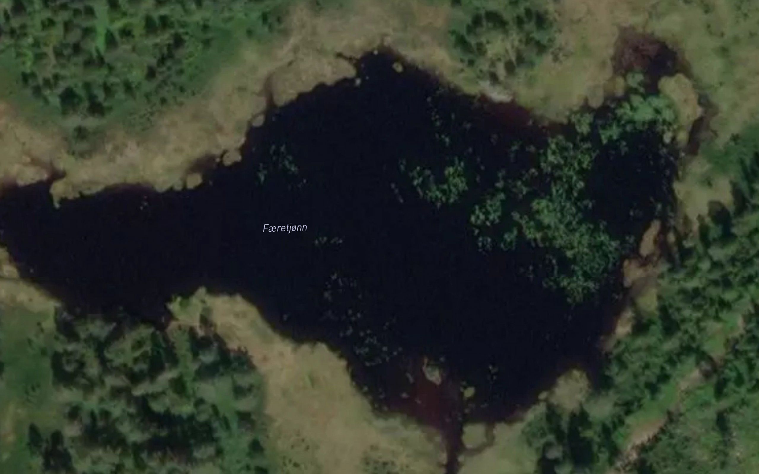 Faeretjorn