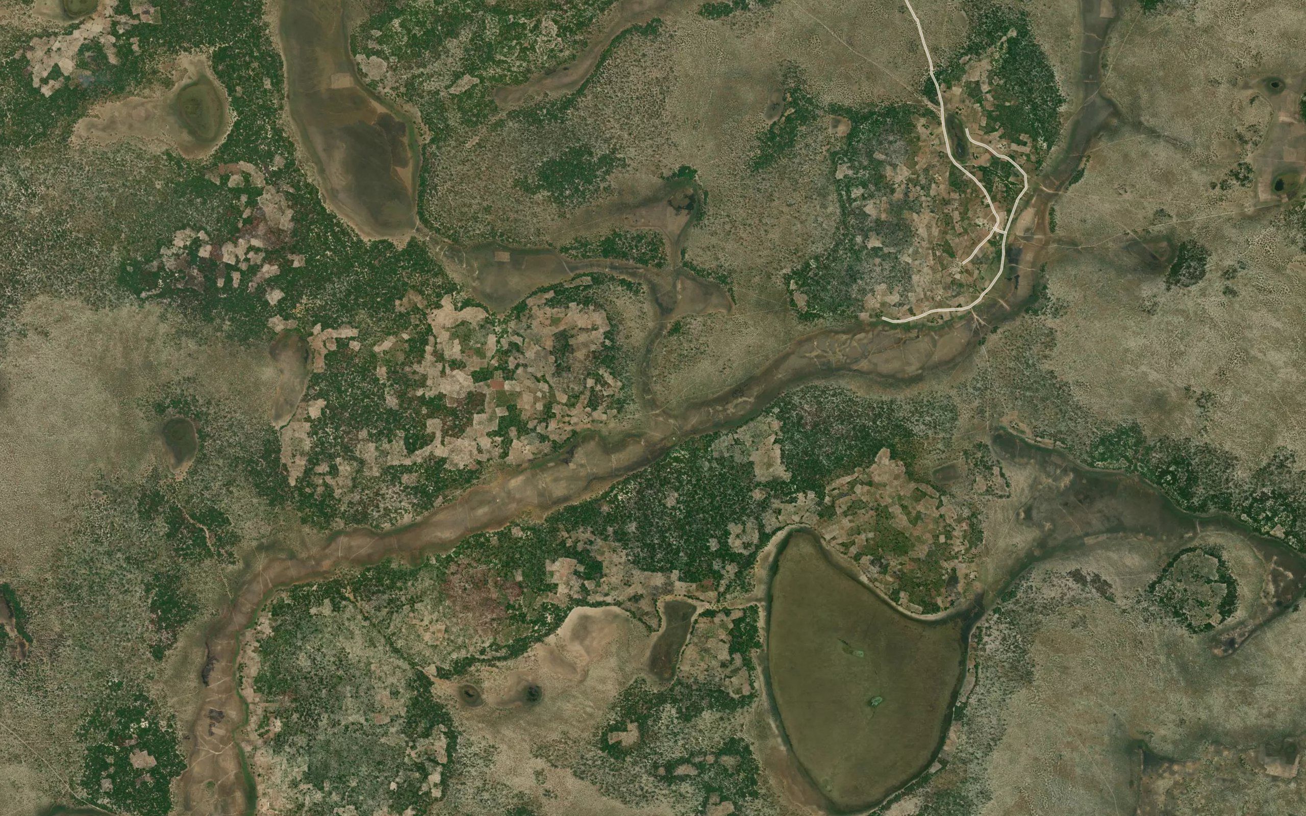 Mutomwa
