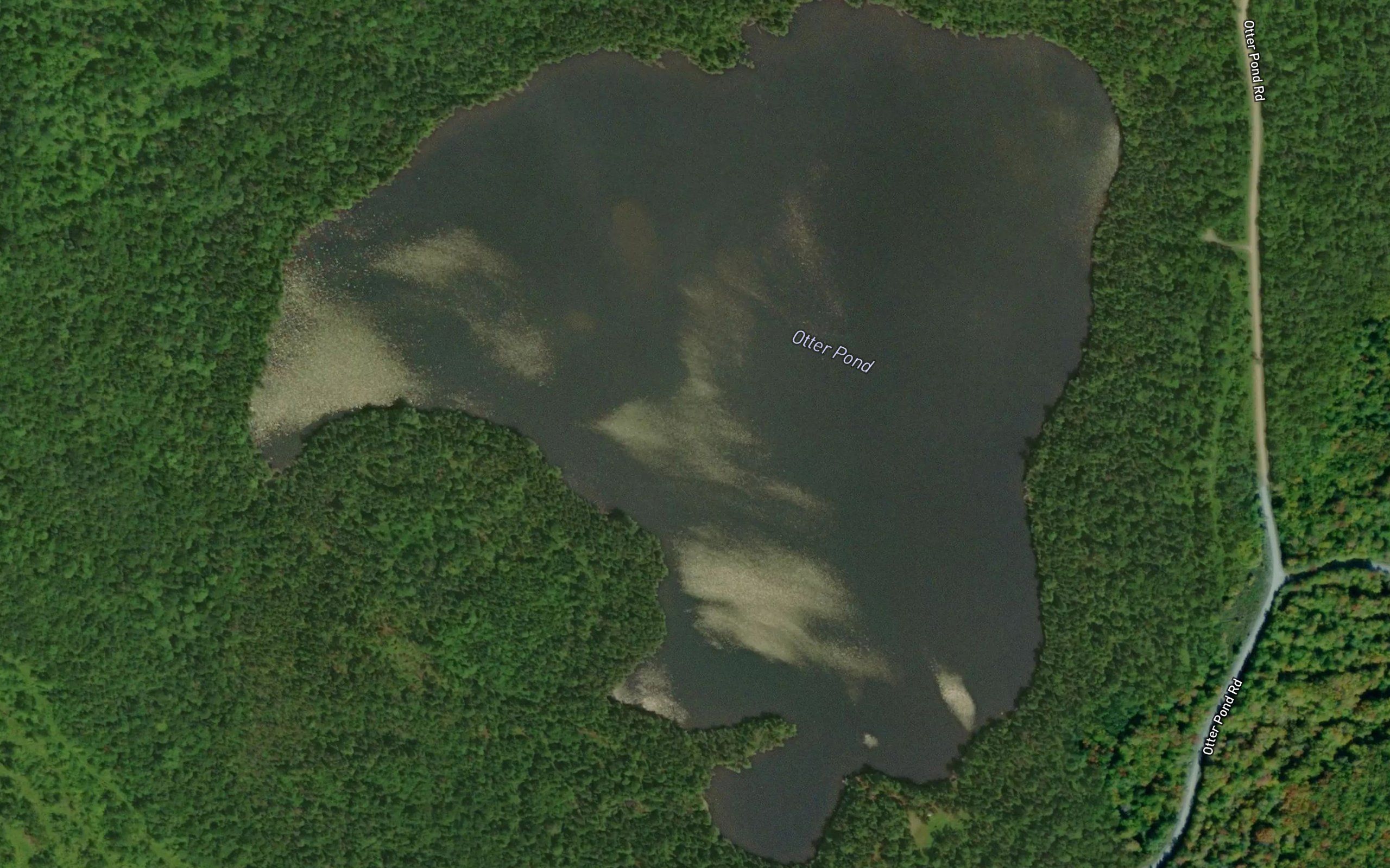 Otter Pond