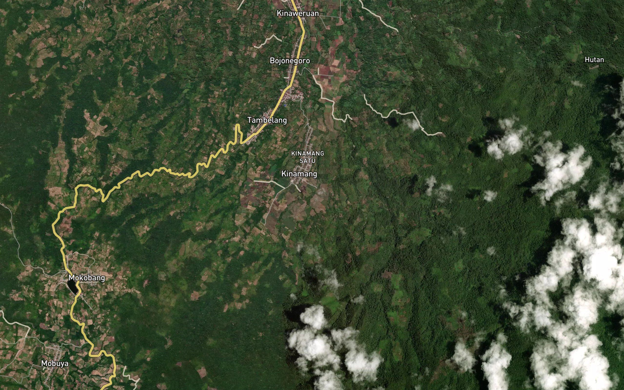 Royongan Tumaluntung