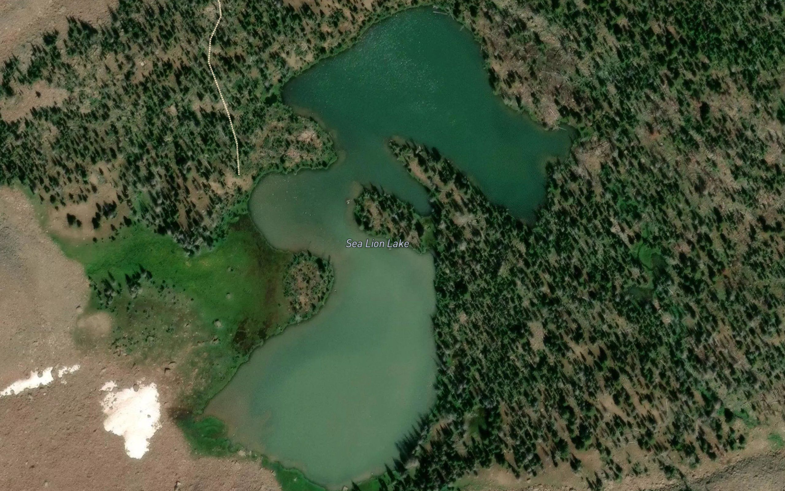 Sea Lion Lake