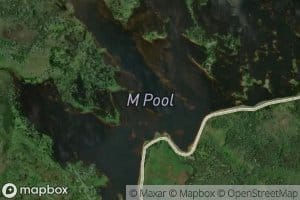 M Pool