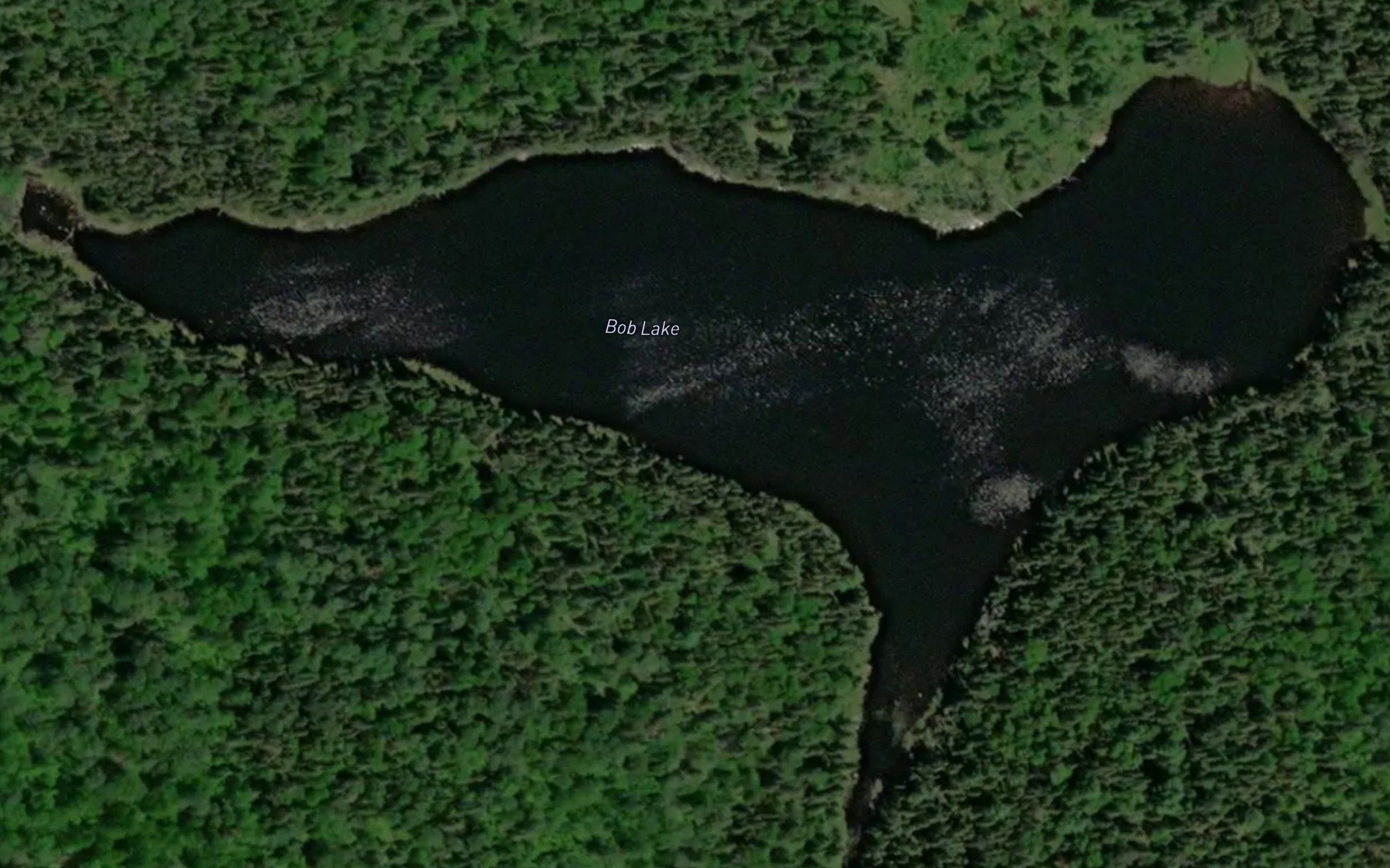 Bob Lake