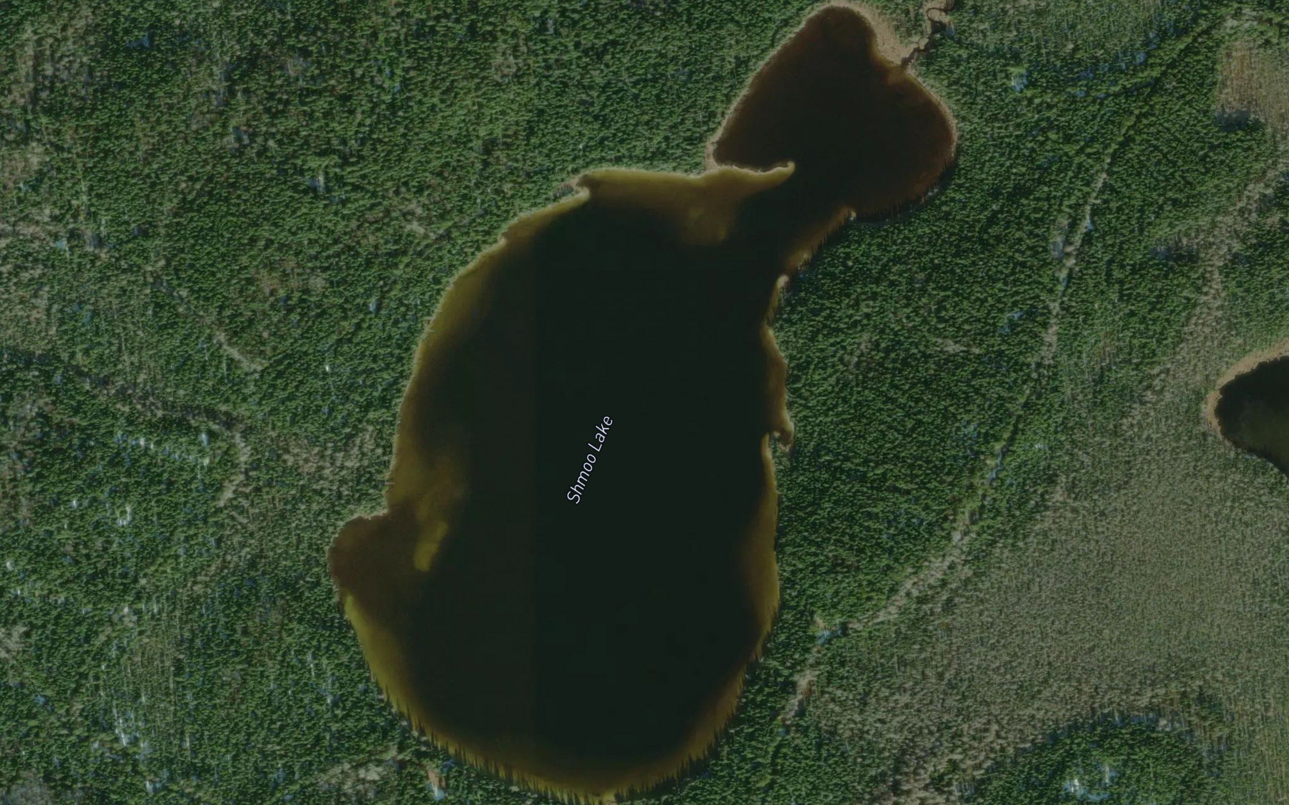 Shmoo Lake