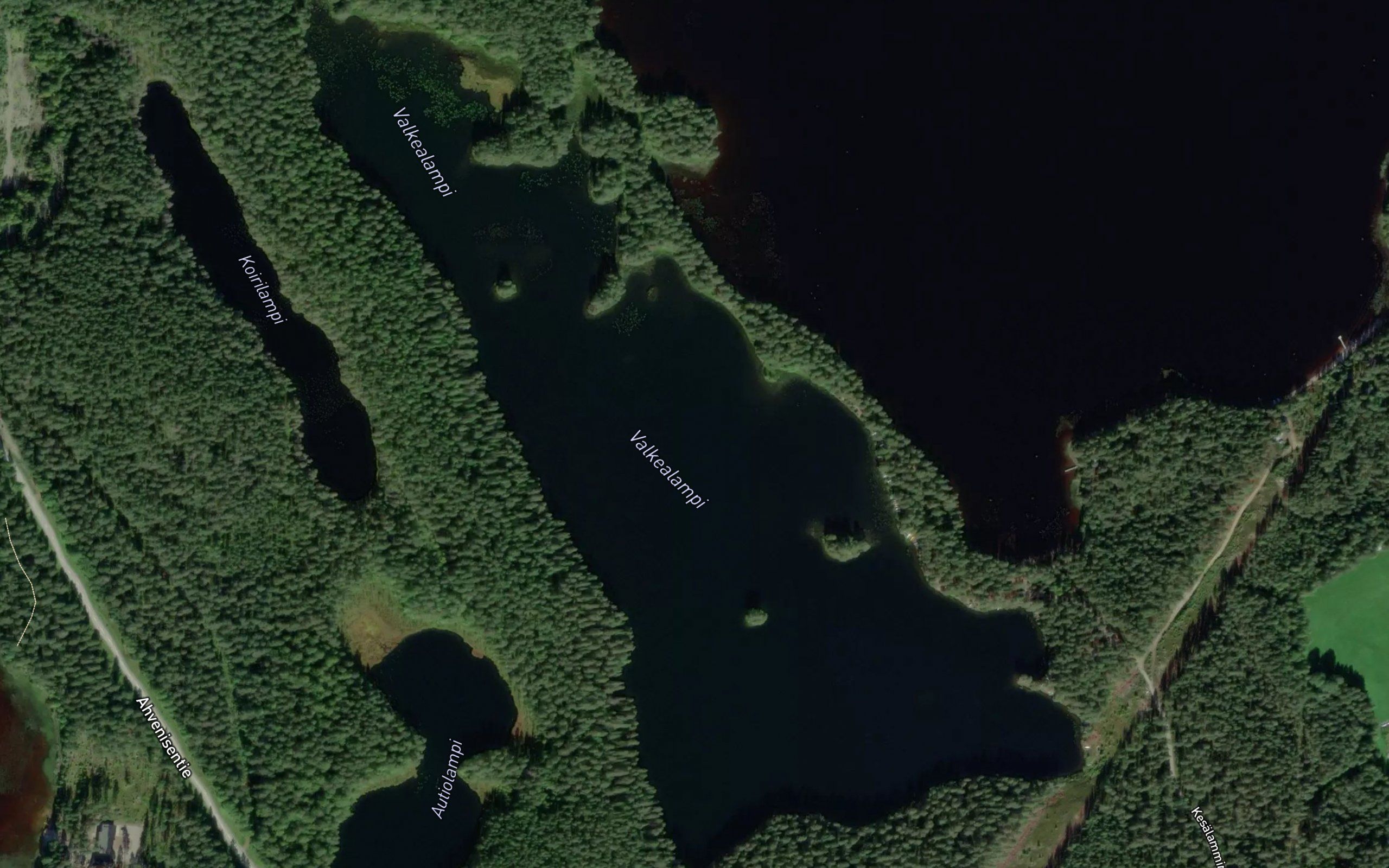 Valkealampi