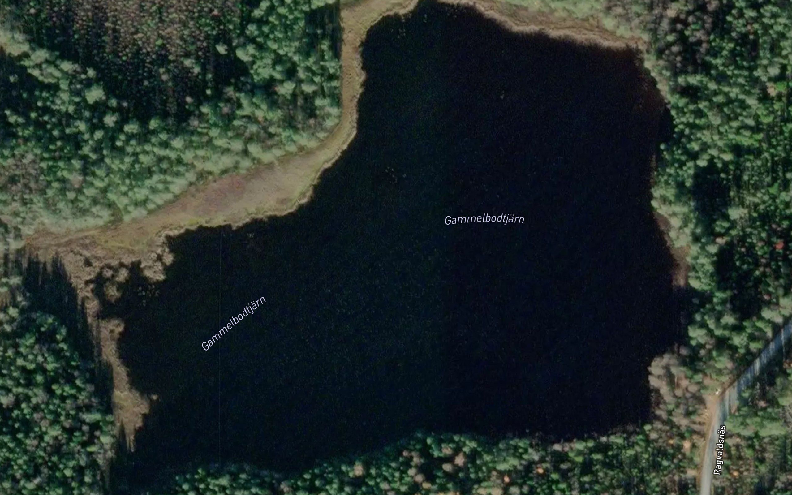 Gammelbodtjaernen