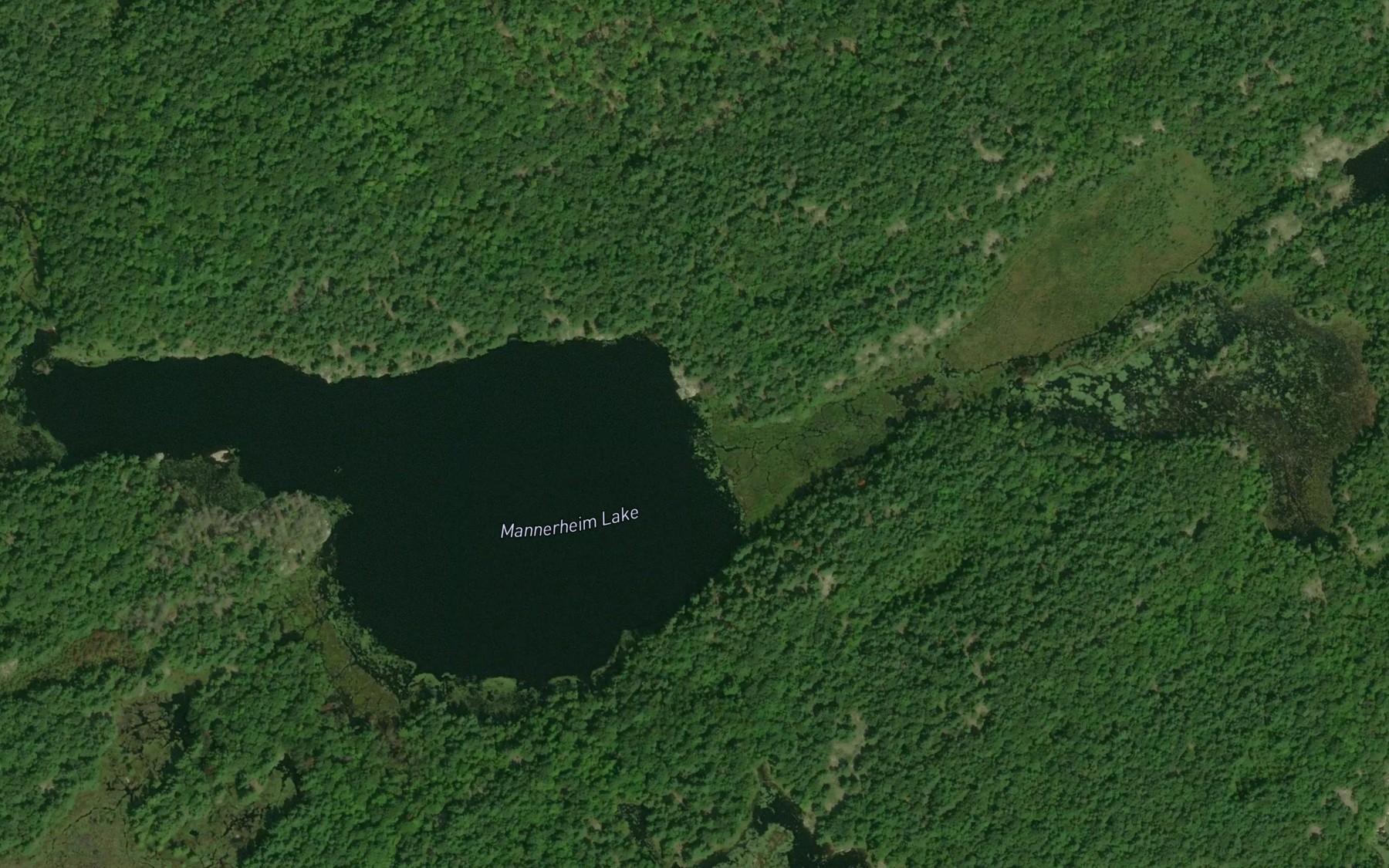 Satellite map of the Mannerheim Lake
