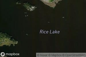 Rice Lake