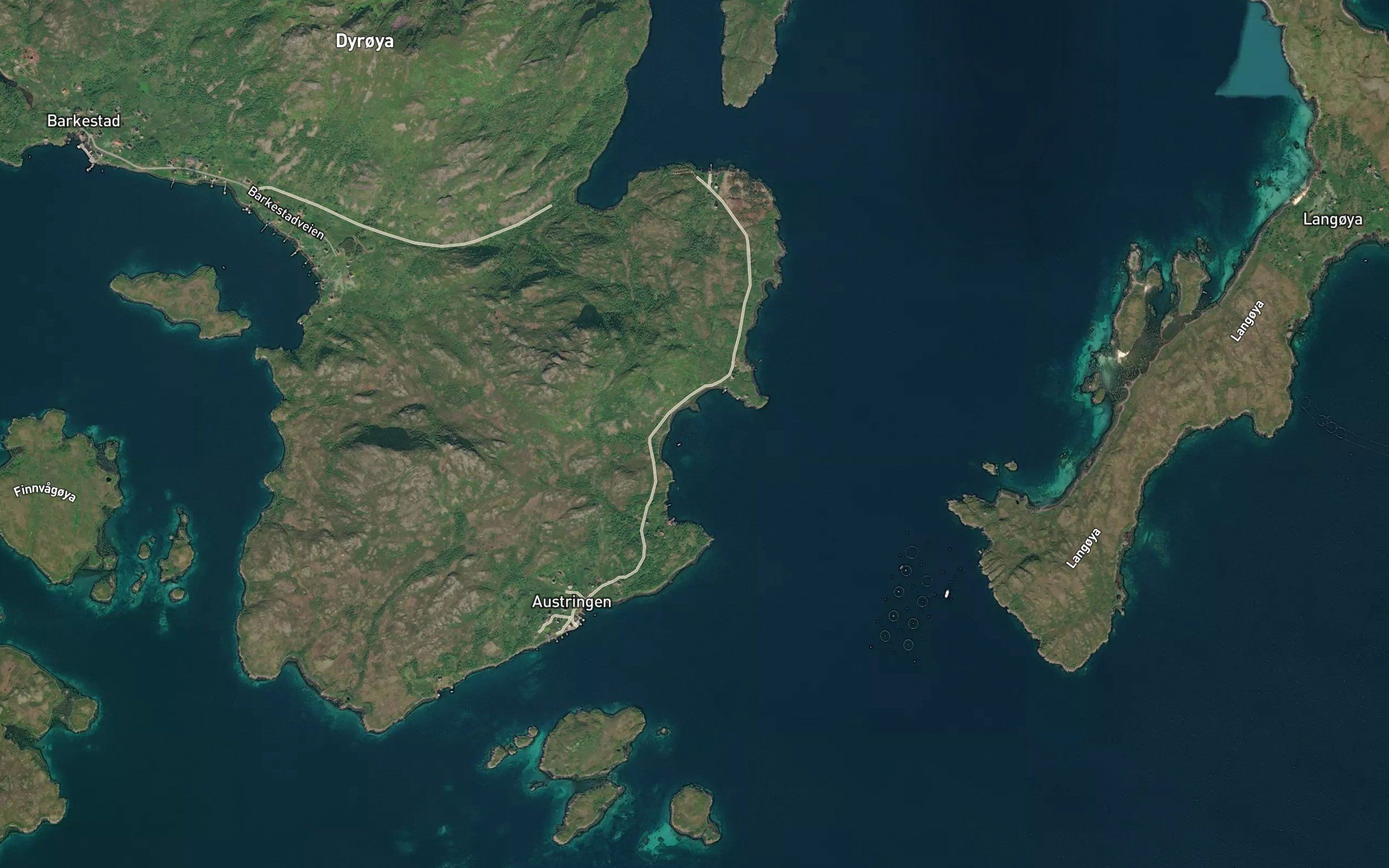 Fjellbukta