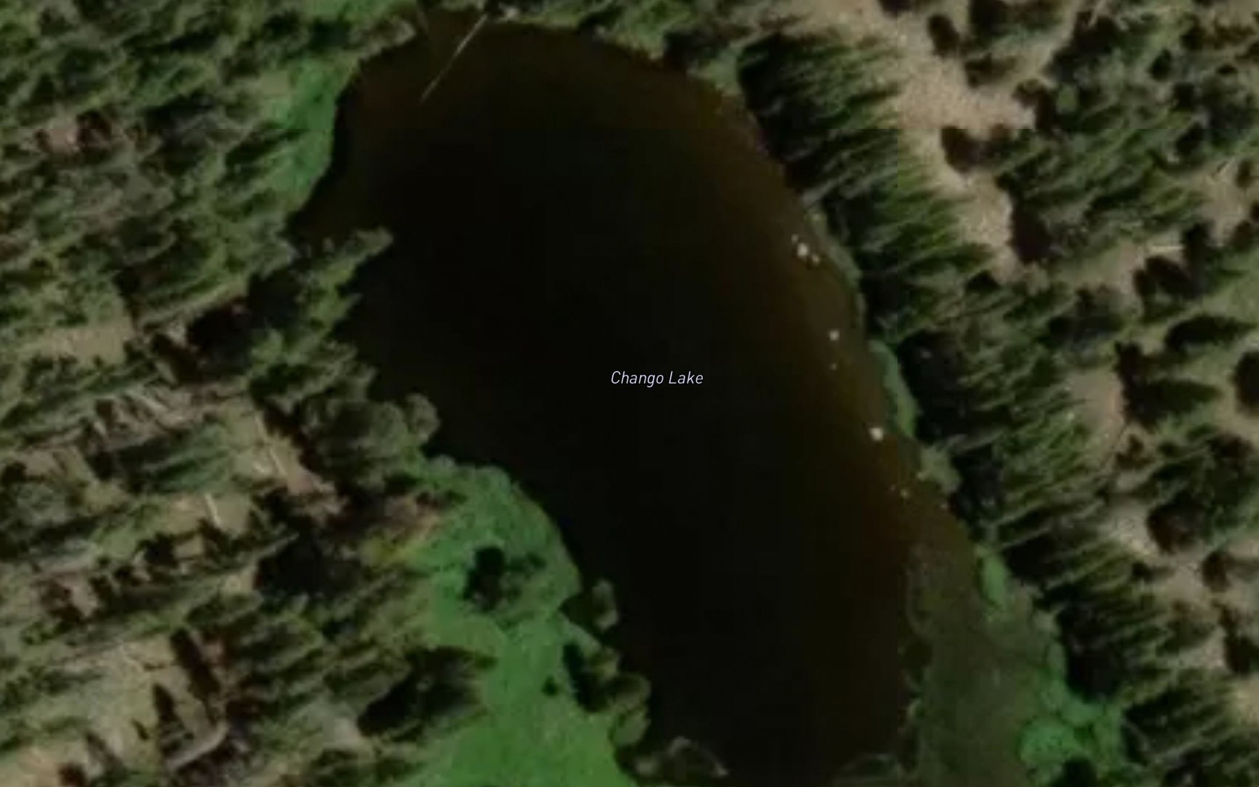Satellite map of the Chango Lake